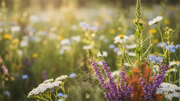 The Hidden Magic of Native Plants
