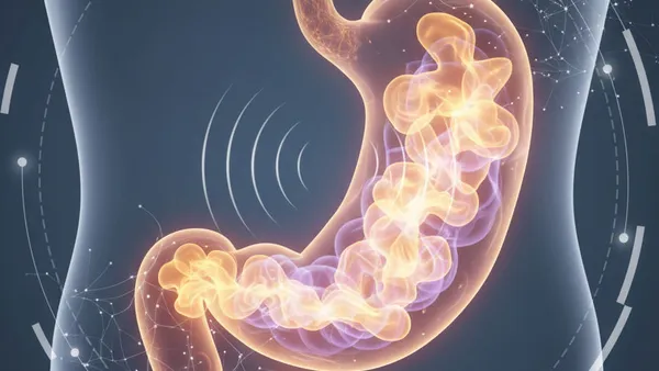 The Symphony of the Stomach: Why We Growl